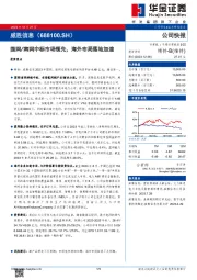国网/南网中标市场领先,海外布局落地加速