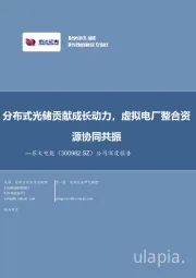 公司深度报告：分布式光储贡献成长动力，虚拟电厂整合资源协同共振