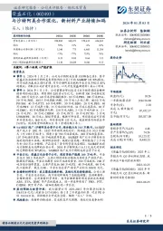 与沙特阿美合作深化，新材料产业持续加码