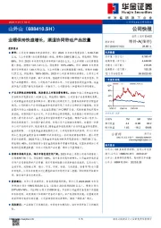 业绩保持快速增长，渠道协同带动产品放量