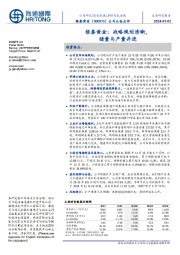 银泰黄金:战略规划清晰,储量与产量并进