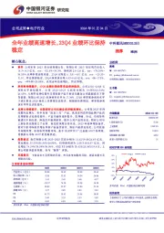 全年业绩高速增长，23Q4业绩环比保持稳定