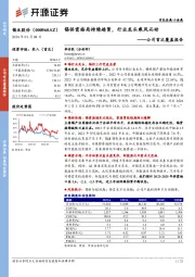 公司首次覆盖报告：锡供需格局持续趋紧，行业龙头乘风而动