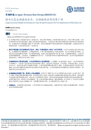 国内大型生物柴油企业，生物船燃应用前景广阔