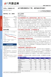 公司信息更新报告：全年销售规模同比下滑，投资强度有所提升