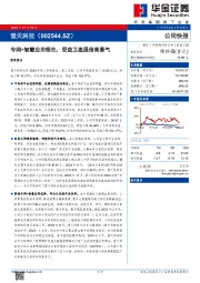 专网+智慧应用领先，受益卫星通信高景气