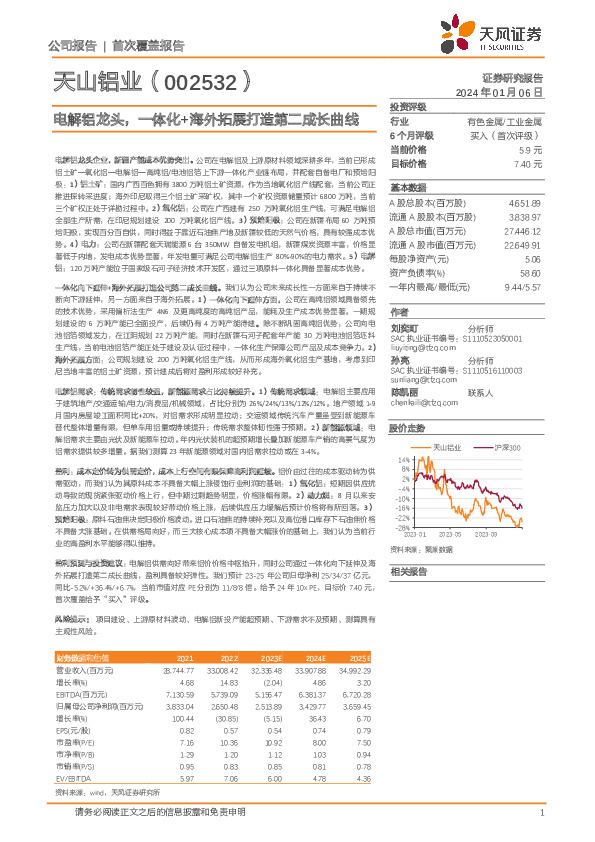 电解铝龙头，一体化+海外拓展打造第二成长曲线