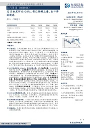 12月批发环比+24%，智己持续上量，出口再创新高