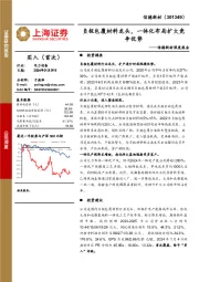 信德新材深度报告:负极包覆材料龙头,一体化布局扩大竞争优势