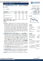 12月集团批发环比+26%,埃安全年销量同比+77%