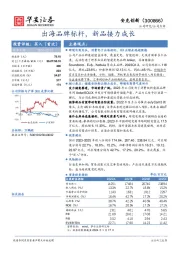 出海品牌标杆，新品接力成长