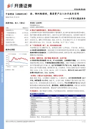 公司首次覆盖报告：金、铜双轮驱动，集团资产注入打开成长空间