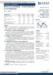 增资达牛&合资瑞视微，加码复合集流体&泛半导体领域设备