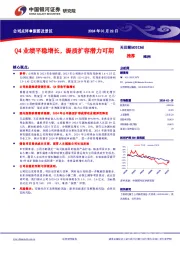 Q4业绩平稳增长，提质扩容潜力可期