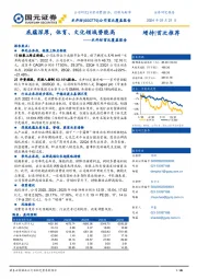 首次覆盖报告：底蕴深厚，体育、文化领域势能高