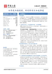 四季度业绩稳健,新材料项目加速推进