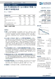 2023年业绩快报点评:Q4业绩低于预期,24年海外市场增量显著
