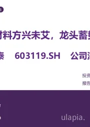 云母材料方兴未艾,龙头蓄势待发