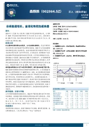 业绩高速增长，全球化布局加速完善