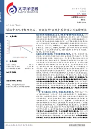 爆破专用电子模块龙头，份额提升+区域扩展带动公司业绩增长