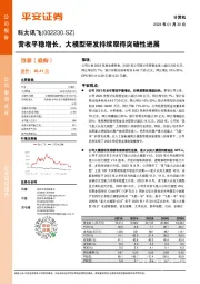 营收平稳增长,大模型研发持续取得突破性进展