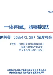 深度研究:一体两翼,振翅起航