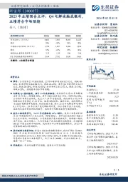 2023年业绩预告点评:Q4电解液触底微利,业绩符合市场预期
