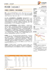 内销收入利润承压，海外快速增长