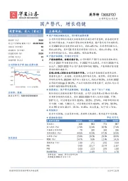 国产替代，增长稳健