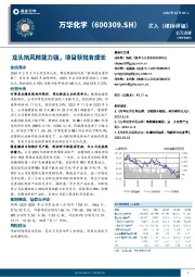 龙头抗风险能力强,项目获批有成长