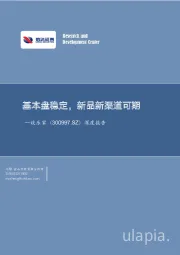 深度报告:基本盘稳定,新品新渠道可期