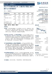 2023年业绩快报点评：业绩符合预期，800V+海外占比持续提升