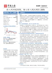 收入利润超预期，核心收入同比增长205%