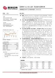 公司简评报告：拟收购Twin Hills金矿开启海外资源布局