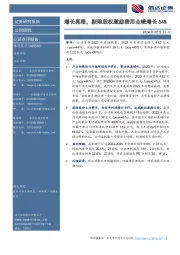 增长亮眼,剔除股权激励费用业绩增长64%