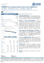 首次覆盖：西部钢铁龙头企业，多维度深入钢铁市场