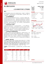 公司加强海外布局扩大市场份额