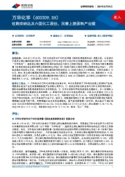 收购安纳达及六国化工股份,完善上游原料产业链