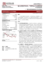 公司点评报告：Q4业绩有所承压，TOPCon电池浆料助力企业成长