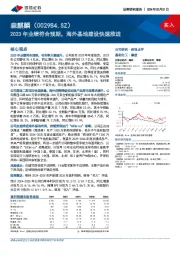 2023年业绩符合预期，海外基地建设快速推进