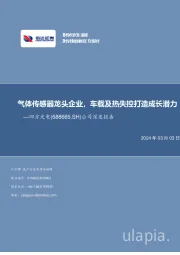 公司深度报告：气体传感器龙头企业，车载及热失控打造成长潜力