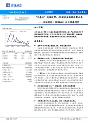 公司深度研究:“双基石”战略转型,AI驱动金融科技新未来