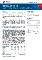 输变电一体化稳步发展，煤炭、新能源发电并举推进