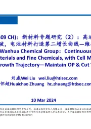 新材料专题研究(2):高端新材料及精细化学品不断突破,电池材料打造第二增长曲线—维持优于大市;下调目标价4%