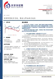 创新转型逐步兑现,潜在大单品助力成长