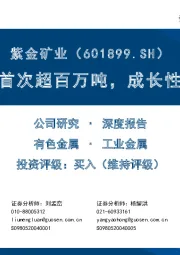 铜矿年产量首次超百万吨，成长性仍值得期待