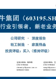 民用电工行业引领者,新老业务高效协同