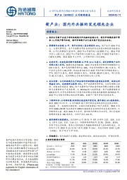 公司跟踪报告:国内外共振的发光领先企业