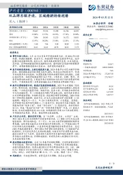 双品牌齐驱并进，区域精耕持续挖潜