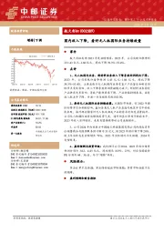 国内收入下降,看好无人机国际业务持续放量